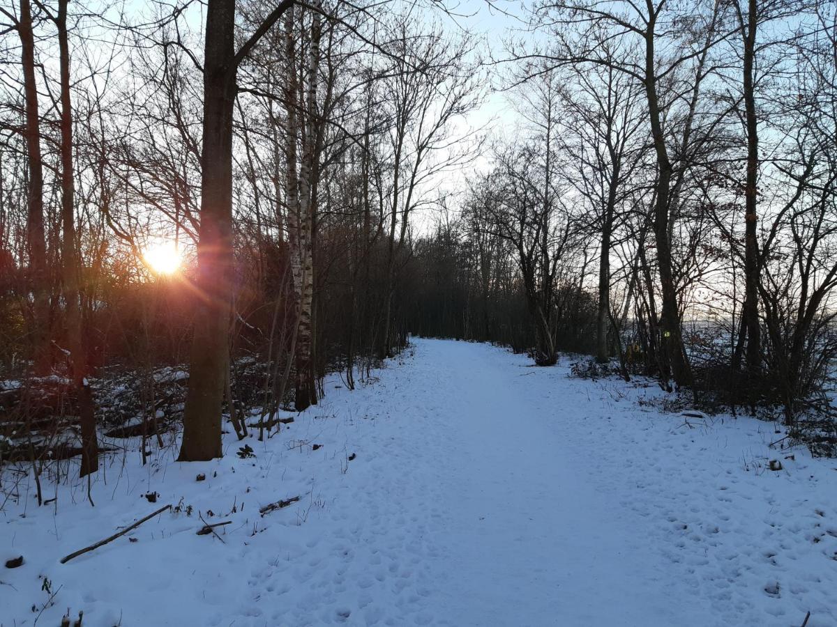 Vakantiehuis Aan Het Bos - Gelegen Aan De Tulpenroute Bant Exterior photo