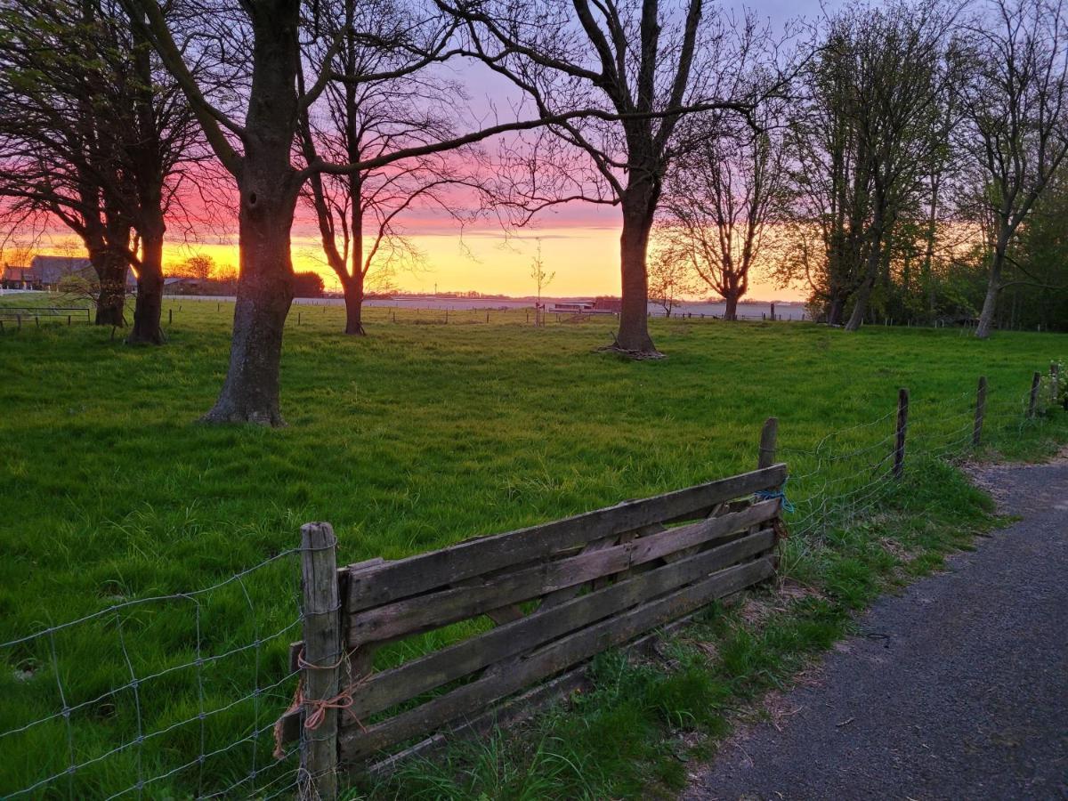 Vakantiehuis Aan Het Bos - Gelegen Aan De Tulpenroute Bant Exterior photo
